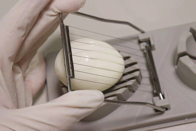 ダイソー 2way玉子カッター（20cm×9cm×3.5cm）