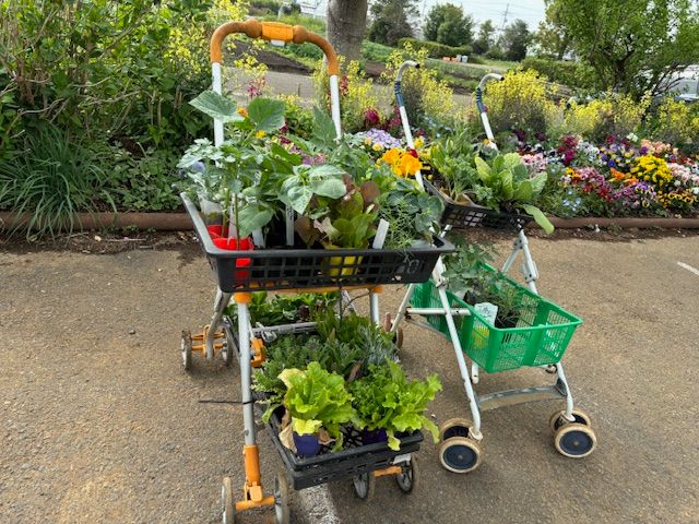 ショッピングカート