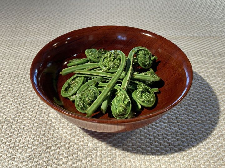 こごみ 輪島たより