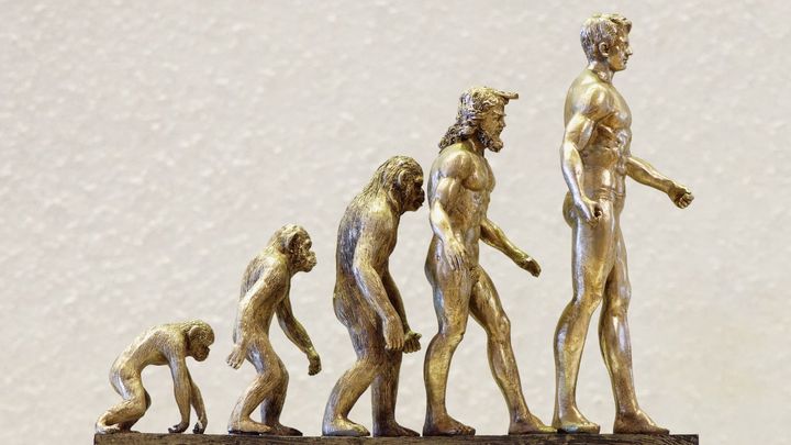 15%の差異が示すもの──ヒト特有の遺伝子機能と「ヒトとは何か」