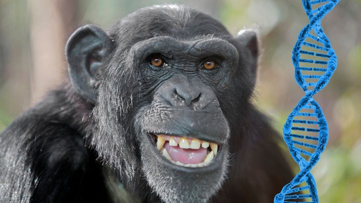 なぜ1％と信じられたのか？