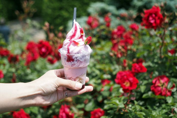 おひとり様からOK♪ 箱根強羅公園の水音響くテラスであじさいアフタヌーンティーを「一色堂茶廊」