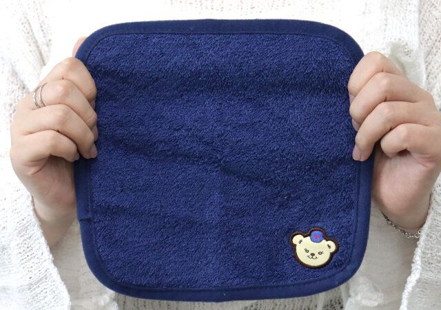 宝島社の付録のタオルハンカチ1