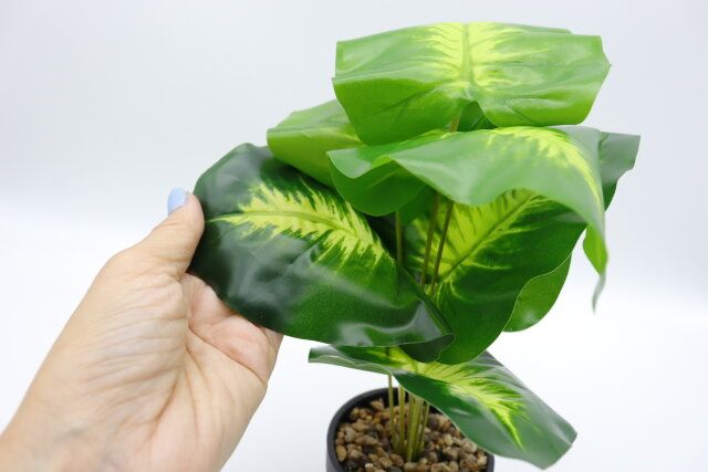 ダイソー グリーンポットアソート フェイク 造花