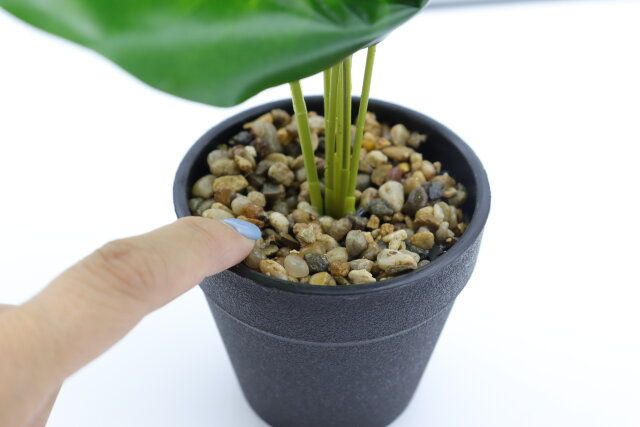 ダイソー グリーンポットアソート 小石 デザイン