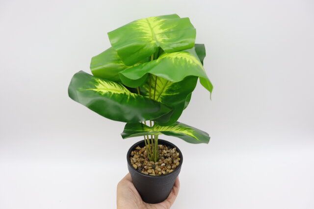 ダイソー グリーンポットアソート サイズ感