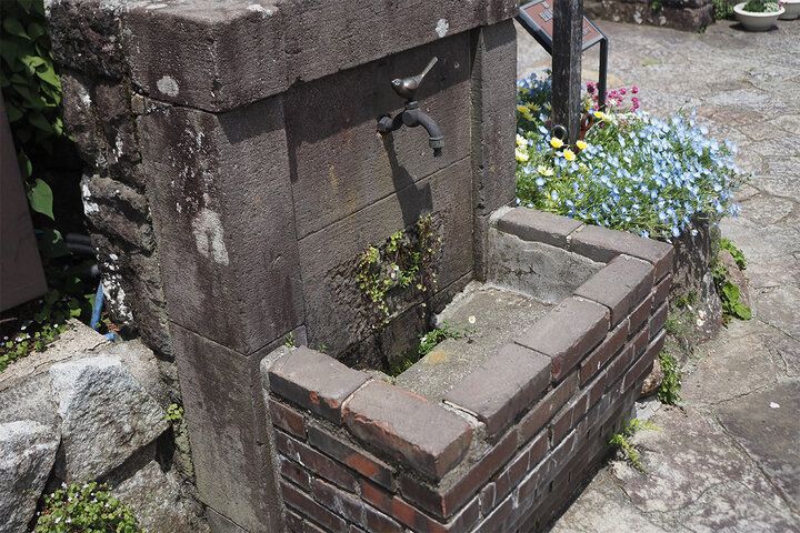 世界でひとつのアクセサリー作り体験や名物カレーランチも♪ 初夏の「箱根強羅公園」でゆったり花さんぽ