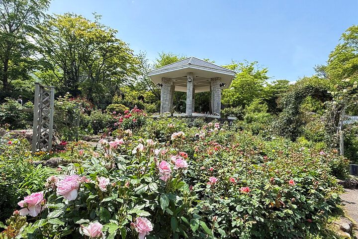 世界でひとつのアクセサリー作り体験や名物カレーランチも♪ 初夏の「箱根強羅公園」でゆったり花さんぽ