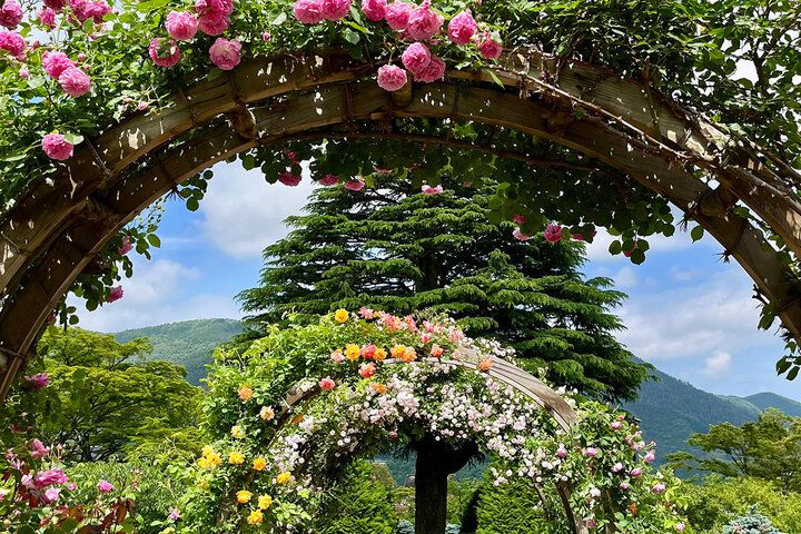 世界でひとつのアクセサリー作り体験や名物カレーランチも♪ 初夏の「箱根強羅公園」でゆったり花さんぽ