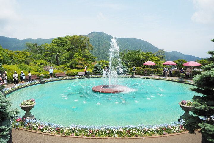 世界でひとつのアクセサリー作り体験や名物カレーランチも♪ 初夏の「箱根強羅公園」でゆったり花さんぽ