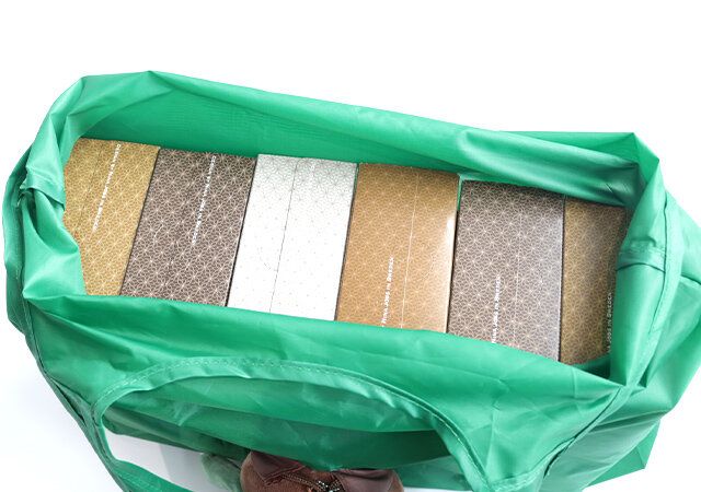 キウイブラザーズ グリーンのぬいぐるみエコバッグ大容量