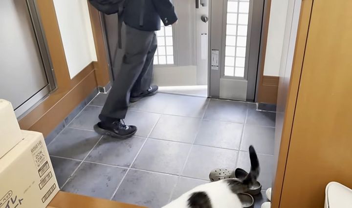 外に出るお兄ちゃん