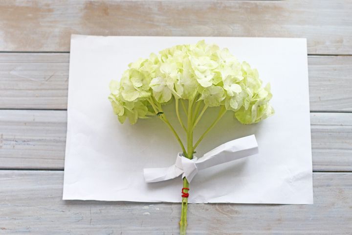 半紙の上に置く