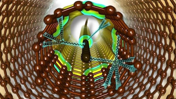 カーボンナノチューブと内部炭素鎖は量子的会話をしていると判明