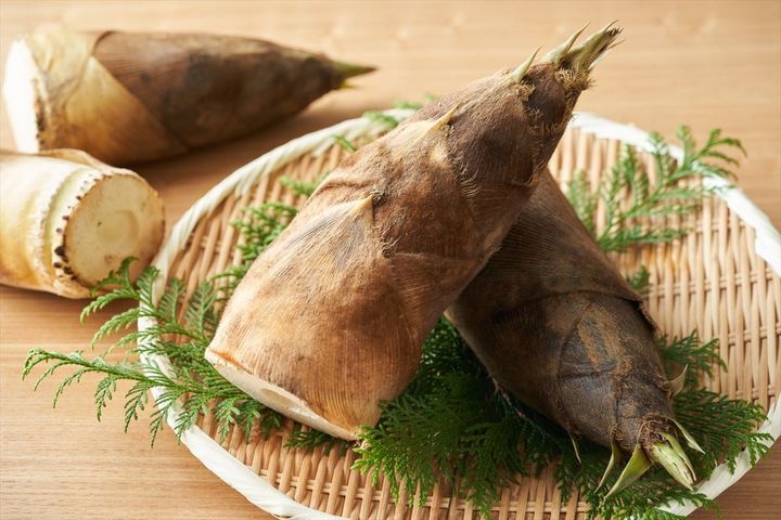 「タケノコ」の知られざる“実力”とは