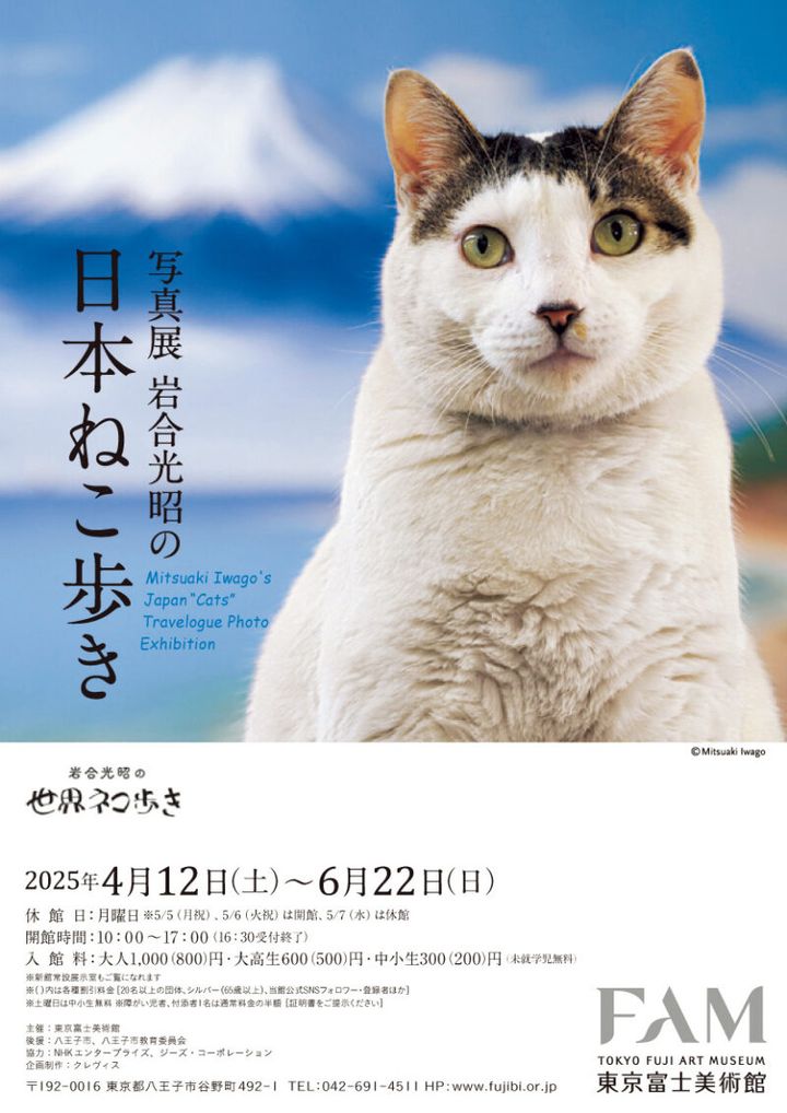 写真展 『岩合光昭の日本ねこ歩き』 開催中～ 6 月22日（日） 東京富士美術館