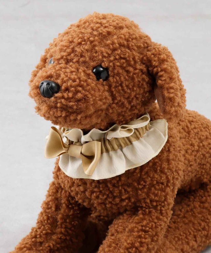 画像1: 出典：3COINS