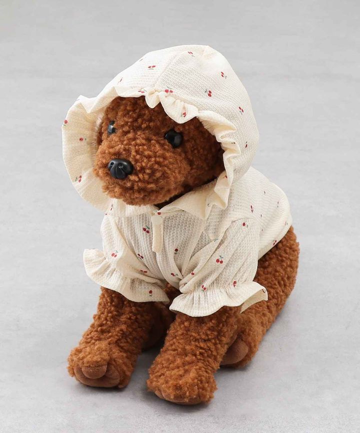 画像2: 出典：3COINS