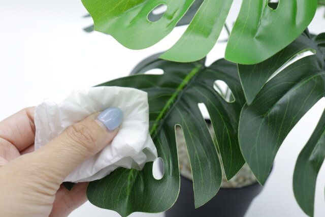 グリーンポット 手入れ