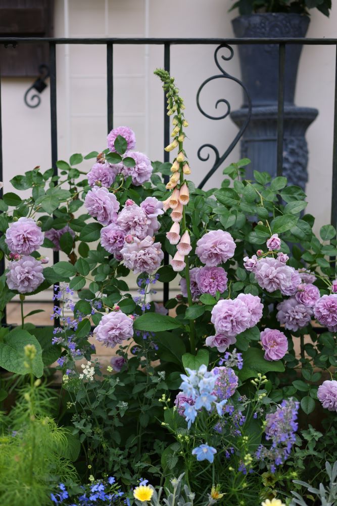 ブルーのバラと草花のコラボ