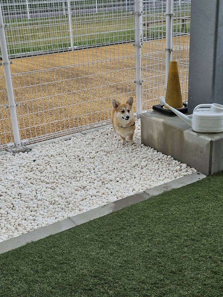 ＠tubby730さんの投稿より