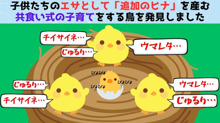 子供たちのエサとして「追加のヒナ」を産む鳥がいると判明！