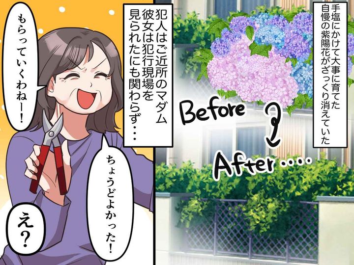 画像: 庭の紫陽花を【勝手に切り取ったご近所さん】「だって、咲かせてるってことは──」