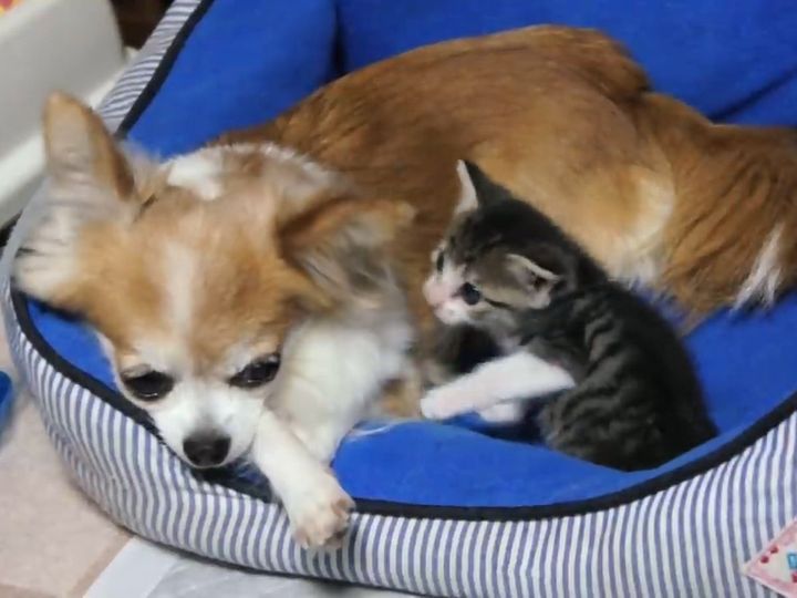 この距離感、たまらん……