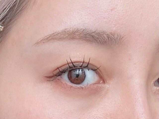 アイシャドウ、アイラインのポイント