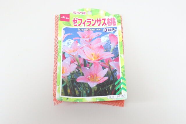 ゼフィランサス桃 パッケージ