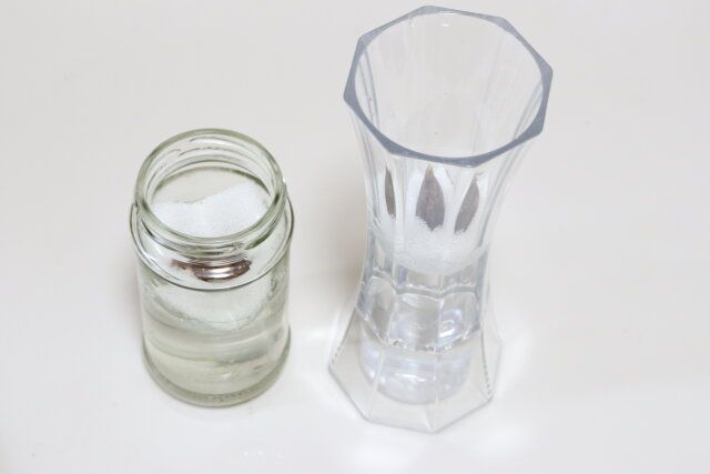 ゼフィランサス桃 栽培