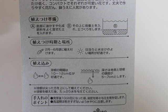 ゼフィランサス桃 パッケージ裏