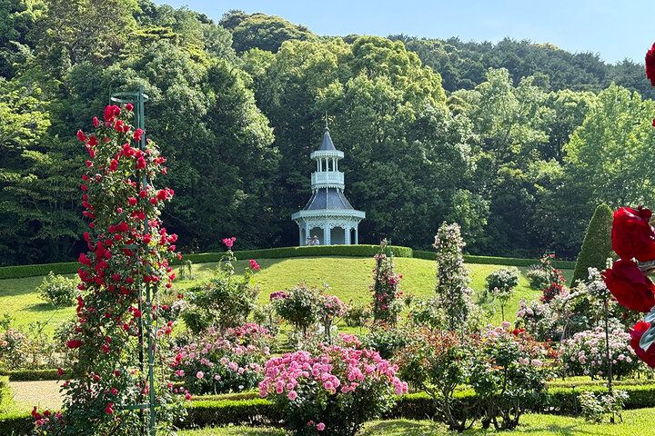 まるでフランスの秘密の花園♪ 伊豆「河津バガテル公園」で出会う色とりどりのバラと優雅なカフェ時間
