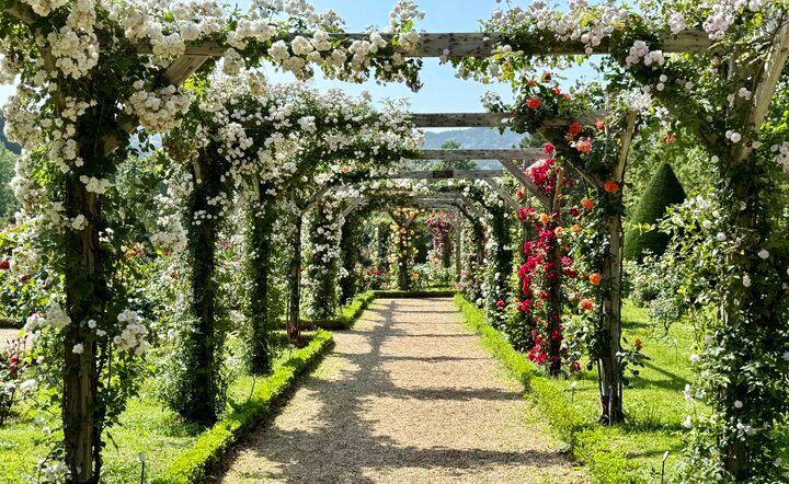まるでフランスの秘密の花園♪ 伊豆「河津バガテル公園」で出会う色とりどりのバラと優雅なカフェ時間