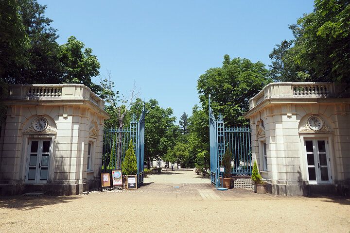 まるでフランスの秘密の花園♪ 伊豆「河津バガテル公園」で出会う色とりどりのバラと優雅なカフェ時間
