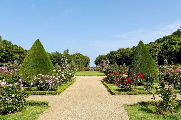 まるでフランスの秘密の花園♪ 伊豆「河津バガテル公園」で出会う色とりどりのバラと優雅なカフェ時間