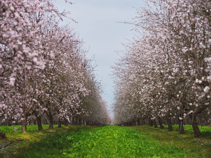 農と食で、よりよい未来に向けた取り組みを行う