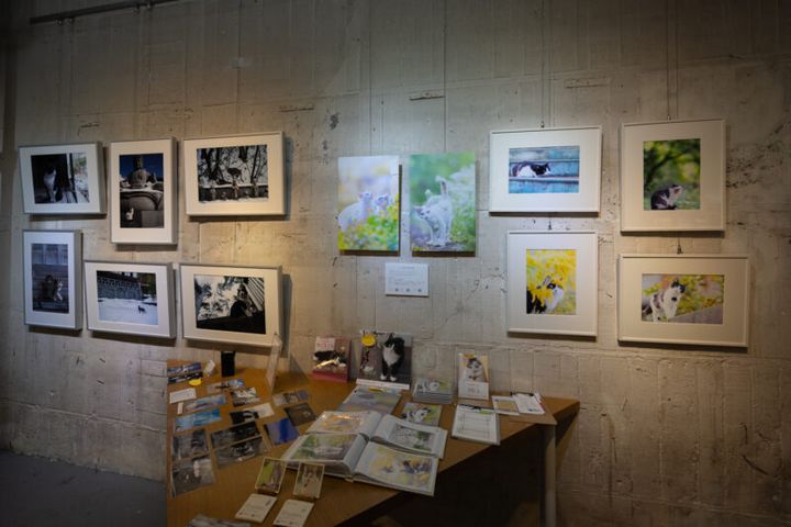 「ネコの写真展 静岡呉服町」