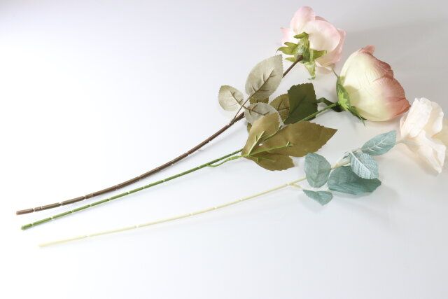 ローズ ピオニー ペールグレイッシュ ノーブル