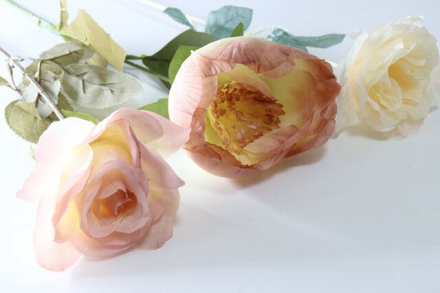 ローズ ピオニー