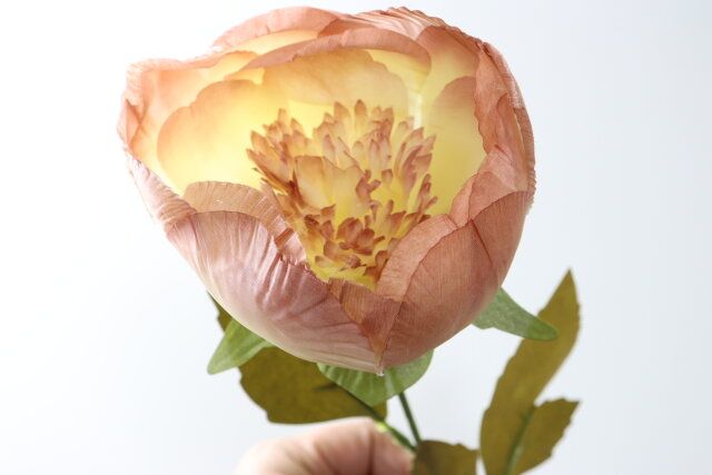 ピオニー（ロング、ペールグレイッシュ）