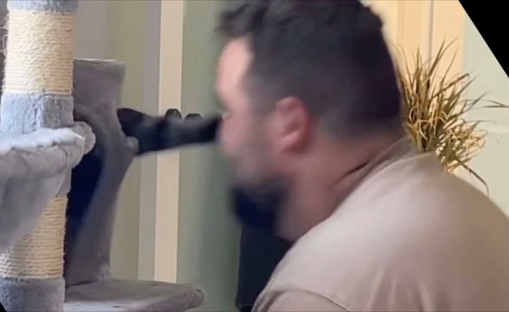 猫による肉球火の玉ストレート、男性の顔にクリティカルヒット