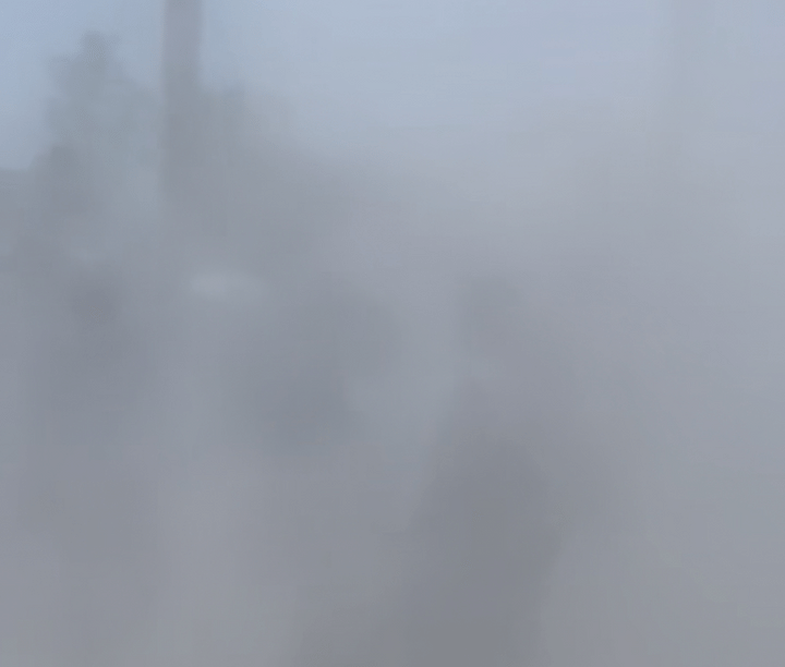 【子連れ万博レポ】「いのちパーク」で迷子寸前！？ ミスト演出に要注意！