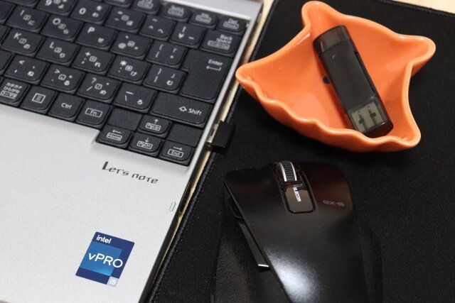 セリアの小物入れになる浅ボウル メンダコ