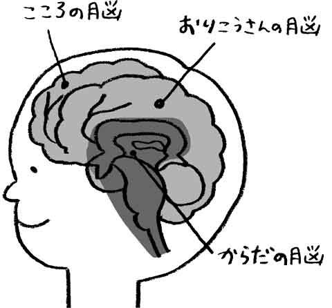脳を育てる順番が大事!? 感情のままに泣くことで育つ「3つの脳」とは【最新号からちょっと見せ】の画像1