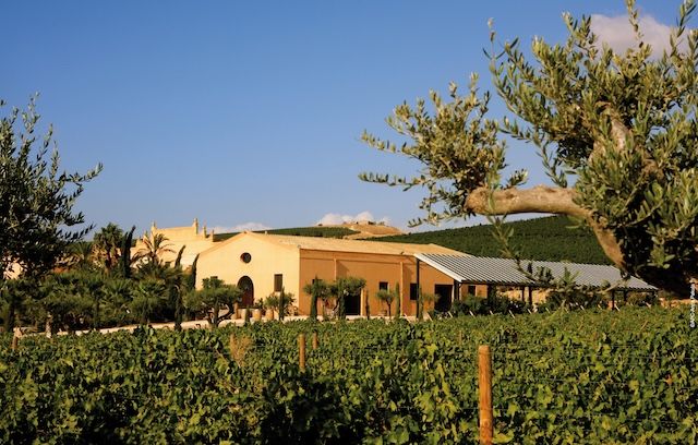 Netflixドラマ『山猫』コラボワイン