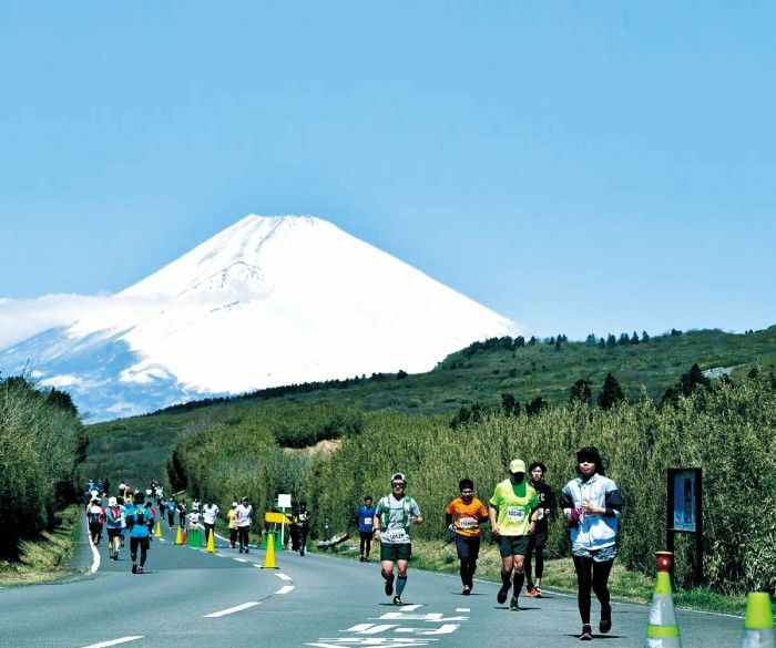 箱根ランフェス_過去の様子