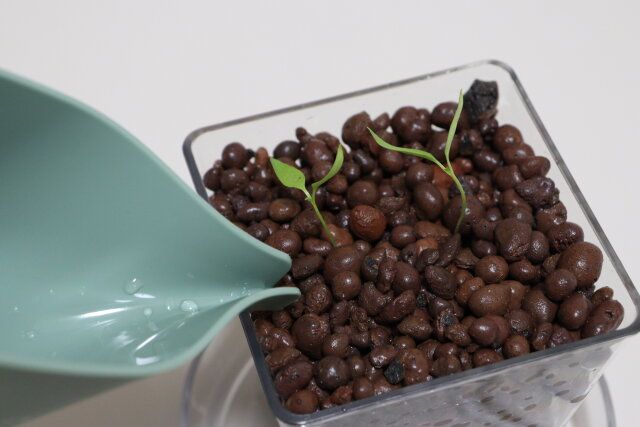 液体肥料 使用例