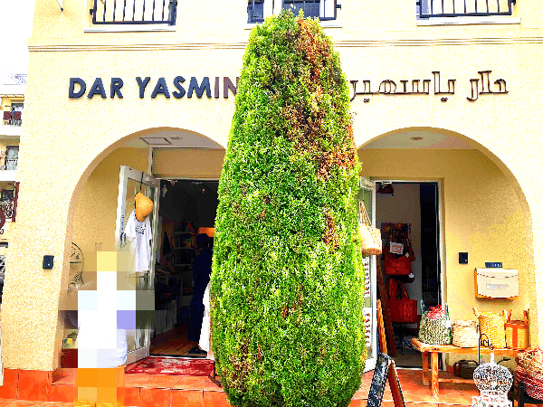 ダールヤスミン外観