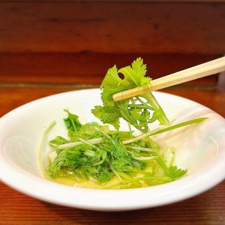 ベトナム料理「シンチャオ」のお試しパクチー